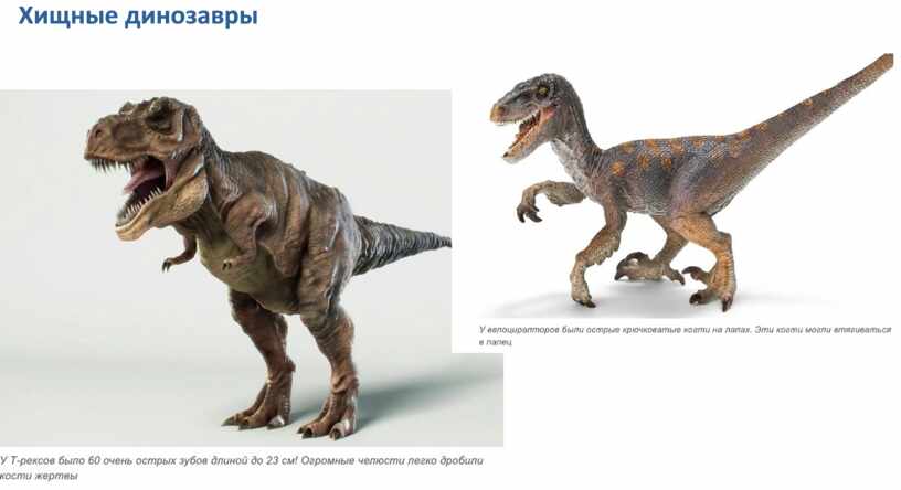 Хищные динозавры