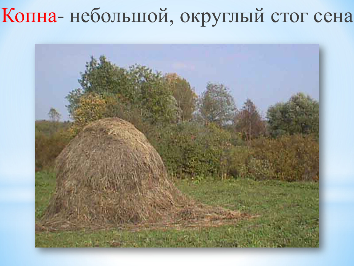 Полно спать беспробудно. Никитин полно степь моя. Скирда омёт копна. Три копны сена. Хранение сена в стогах.