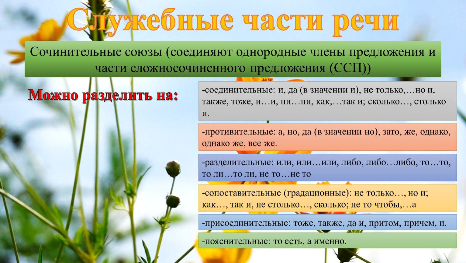 Рустьюторс егэ по русскому языку 11 класс