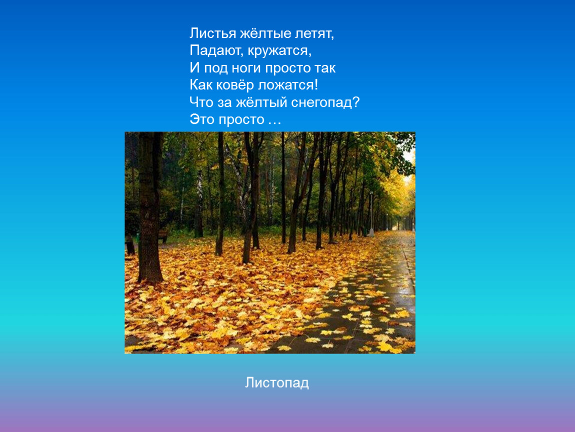 Тема стихотворения листопад. Явления природы листопад. Презентация листопад. Листья желтые летят падают кружатся и под ноги. Осенние явления листопад.