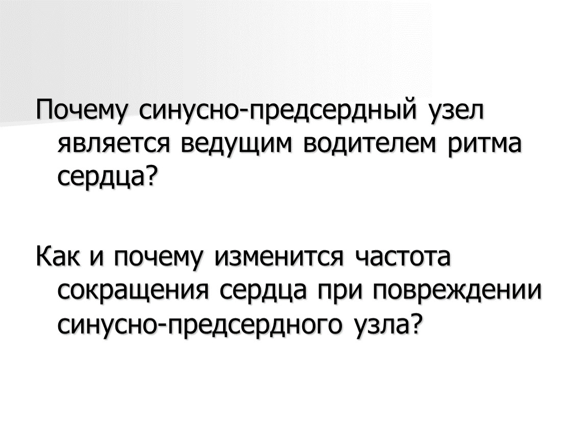 Является ведомой. Почему синусно-предсердный узел является водителем ритма. Почему синусно предсердный узел является водителем. Синусно-предсердный узел является водителем ритма сердца. Ведущим водителем ритма является узел.