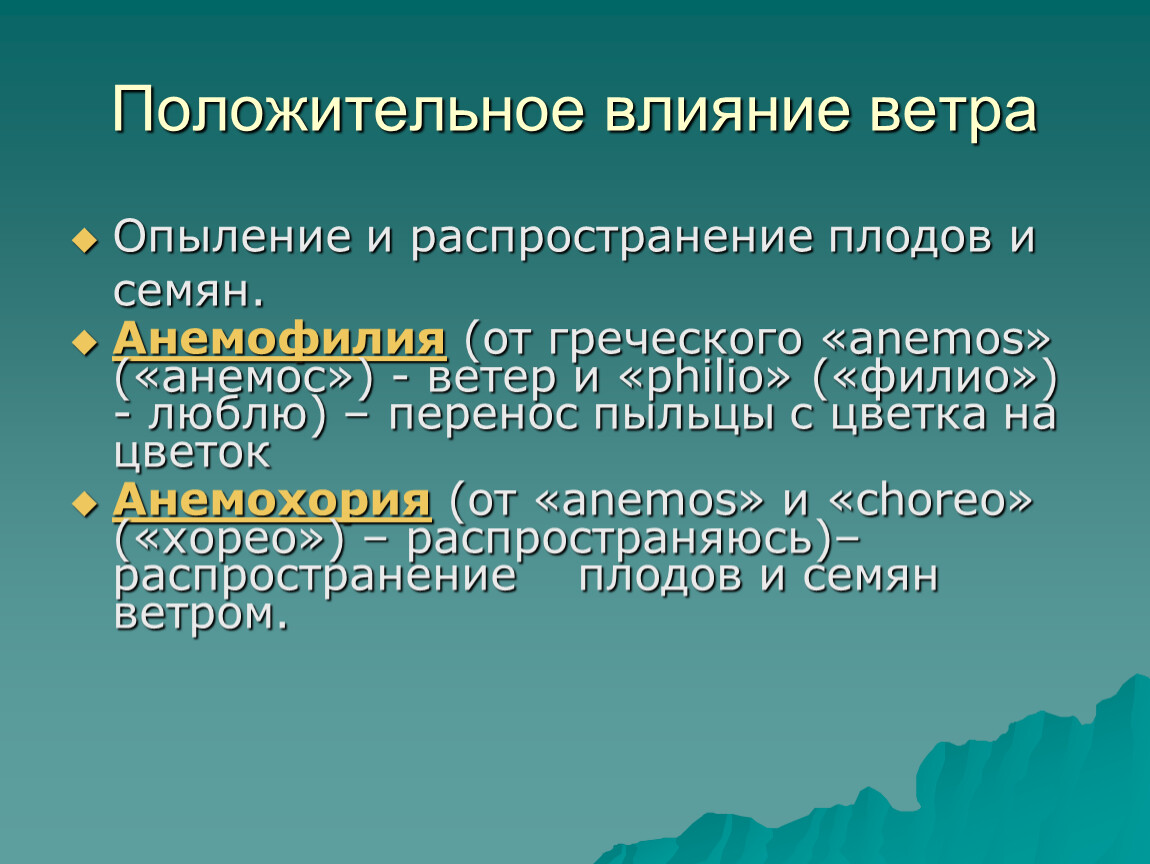 Влияние производства. Положительное влияние ветра. Положительные действия ветра. Положительное влияние ветра на растения. Отрицательные и положительные влияние ветра в жизни растений.