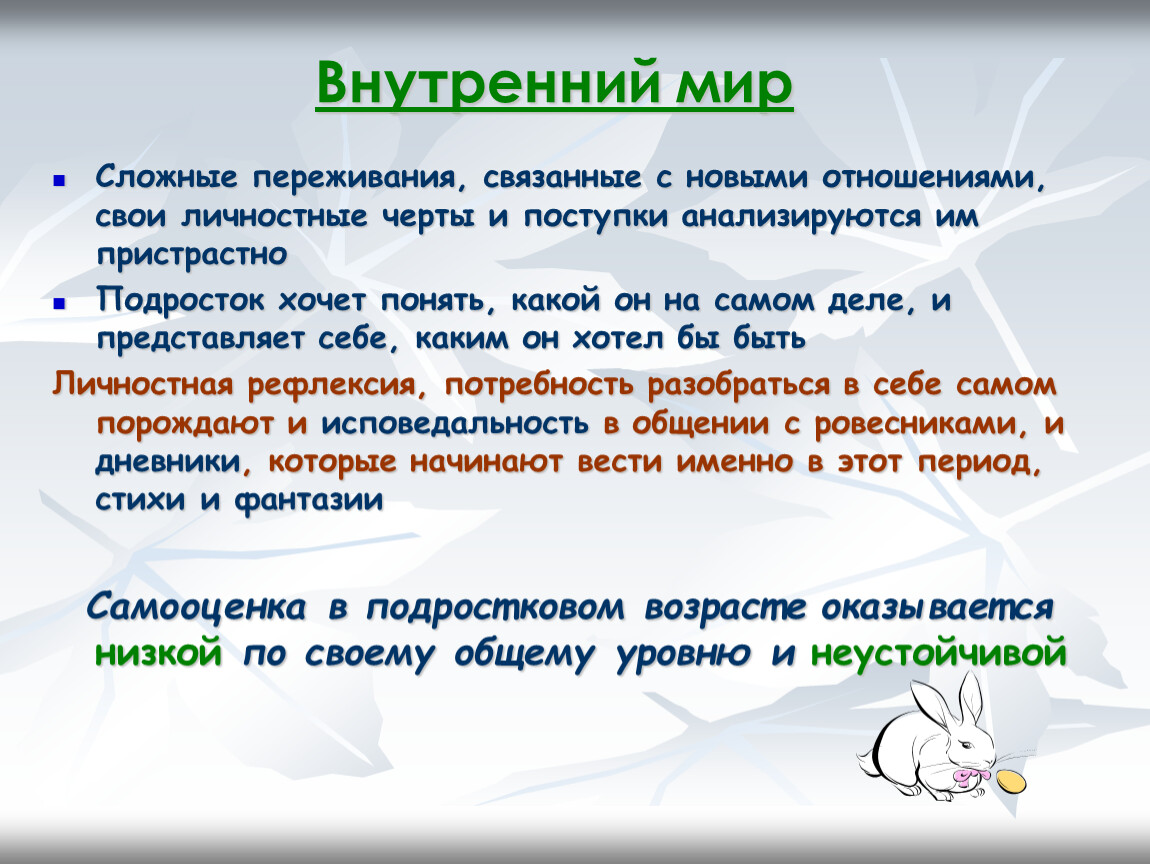 Внутренний подросток. Внутренний мир подростка презентация. Тема внутренний мир подростка презентация. Презентация внутренний мир человека. Примеры внутренних переживаний.