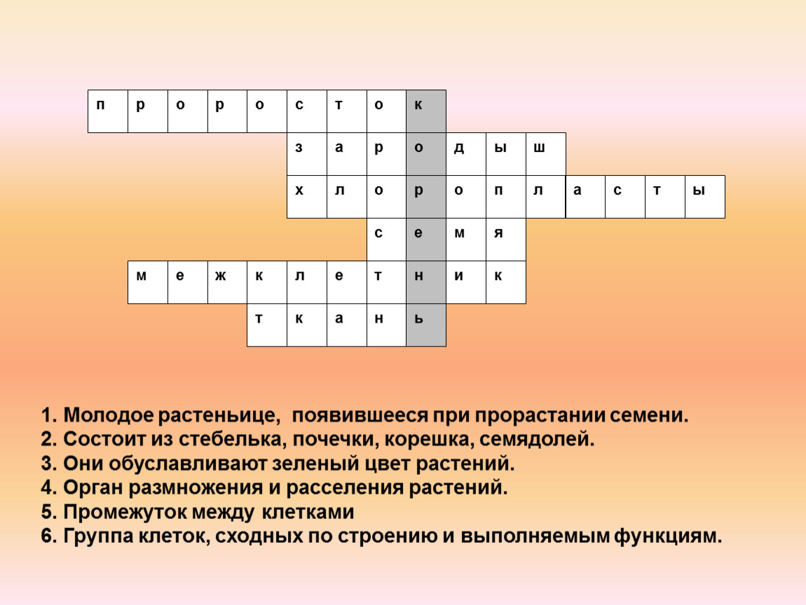 Кроссворд строение. Кроссворд на тему корень. Кроссворд на тему органы растений. Кроссворд по биологии на тему корень. Кроссворд на тему строение семян.