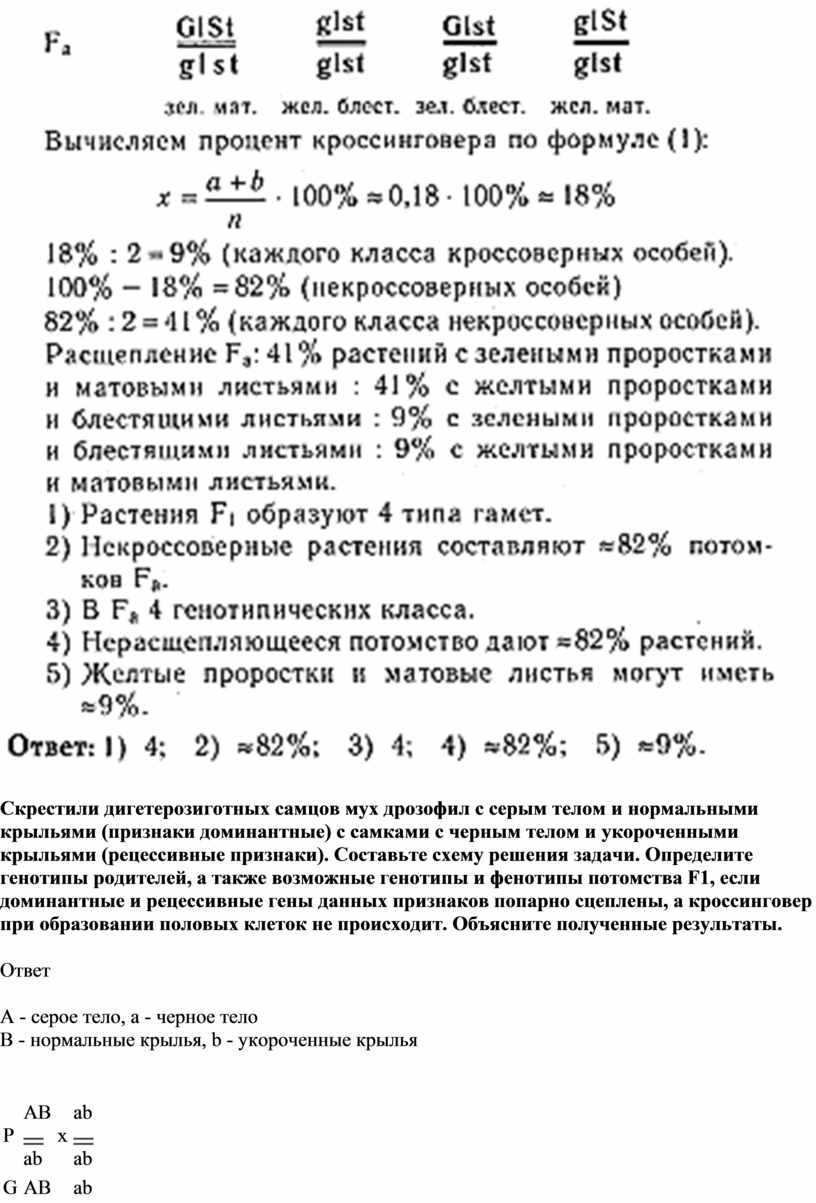 При скрещивании самки дрозофилы с нормальными