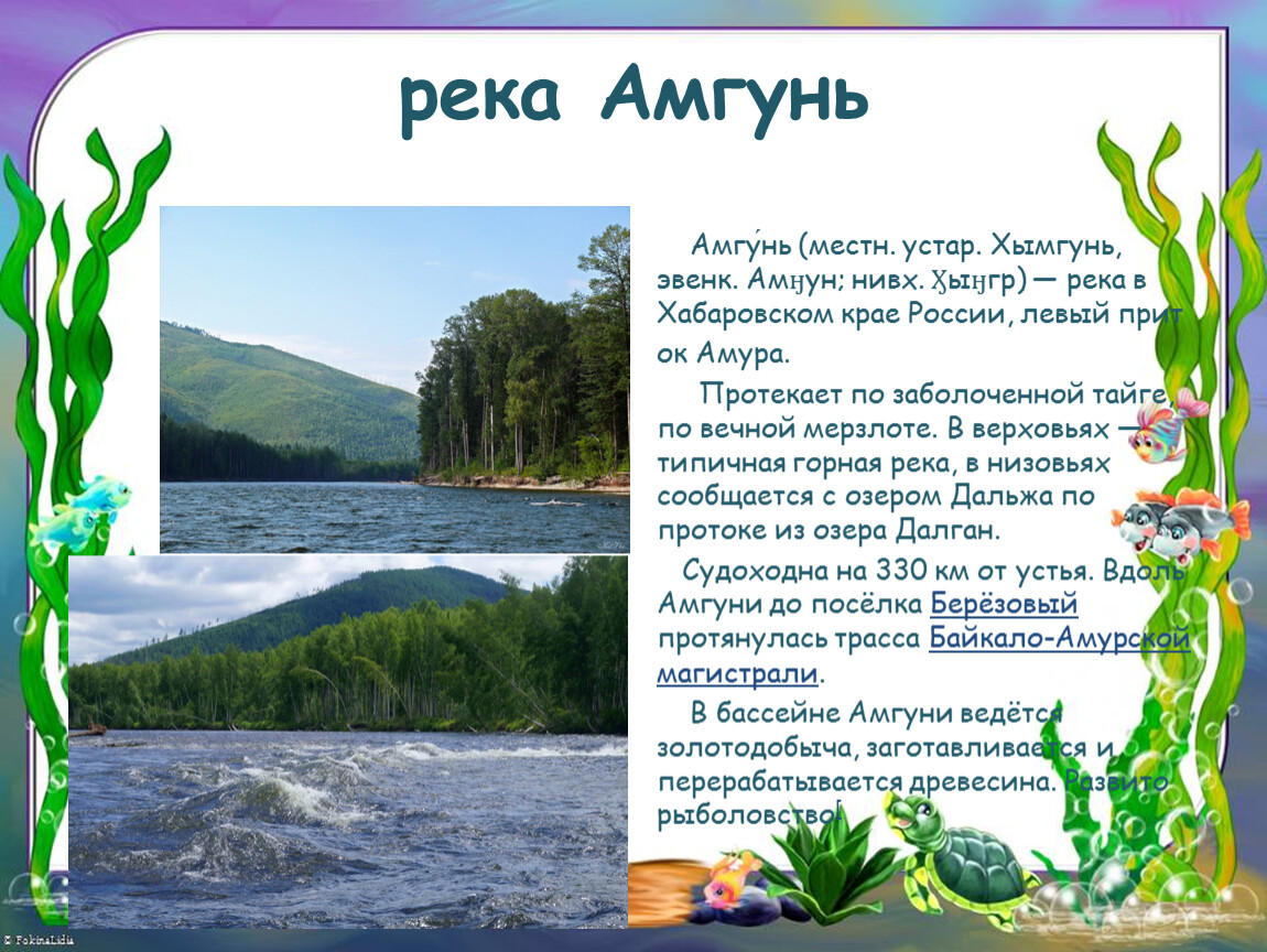 Презентация на тему река амур