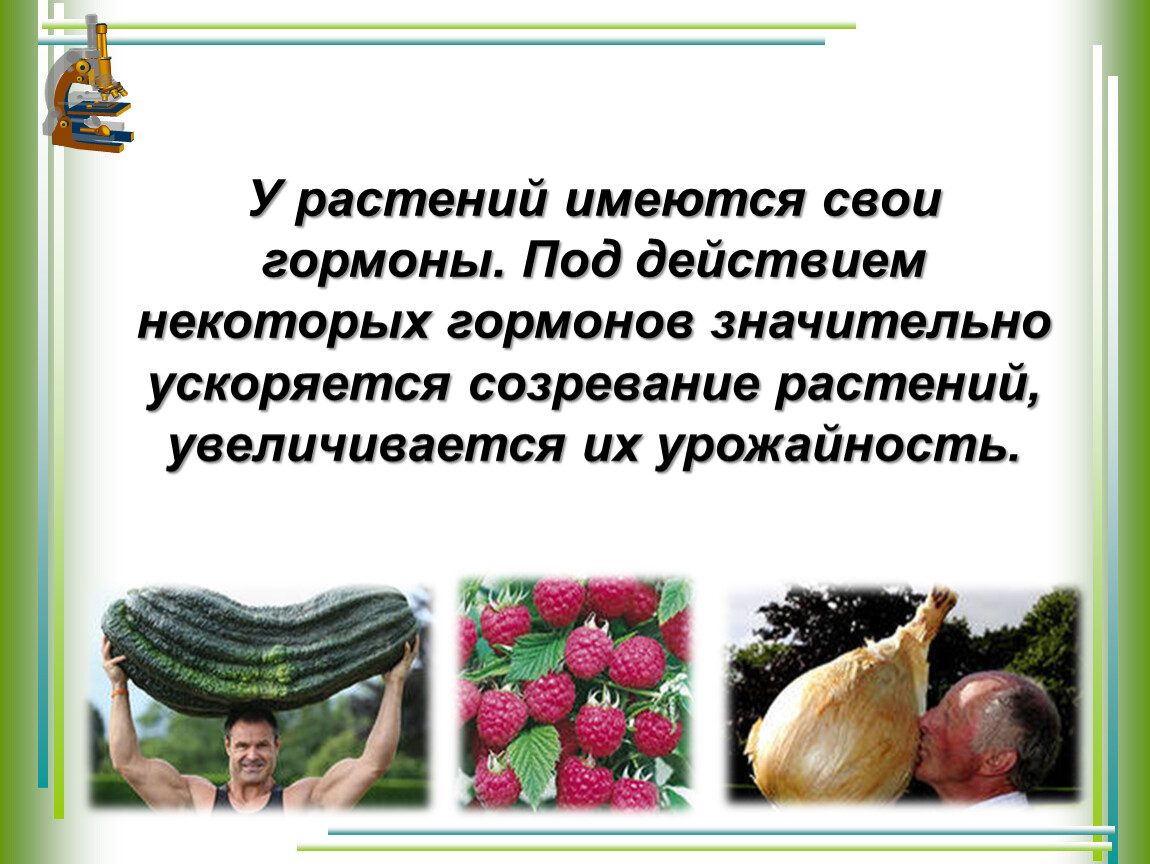 Гормоны животных. Гормоны роста и развития растений. Гормоны растений и животных. Созревание растений. Влияние гормонов на животных.