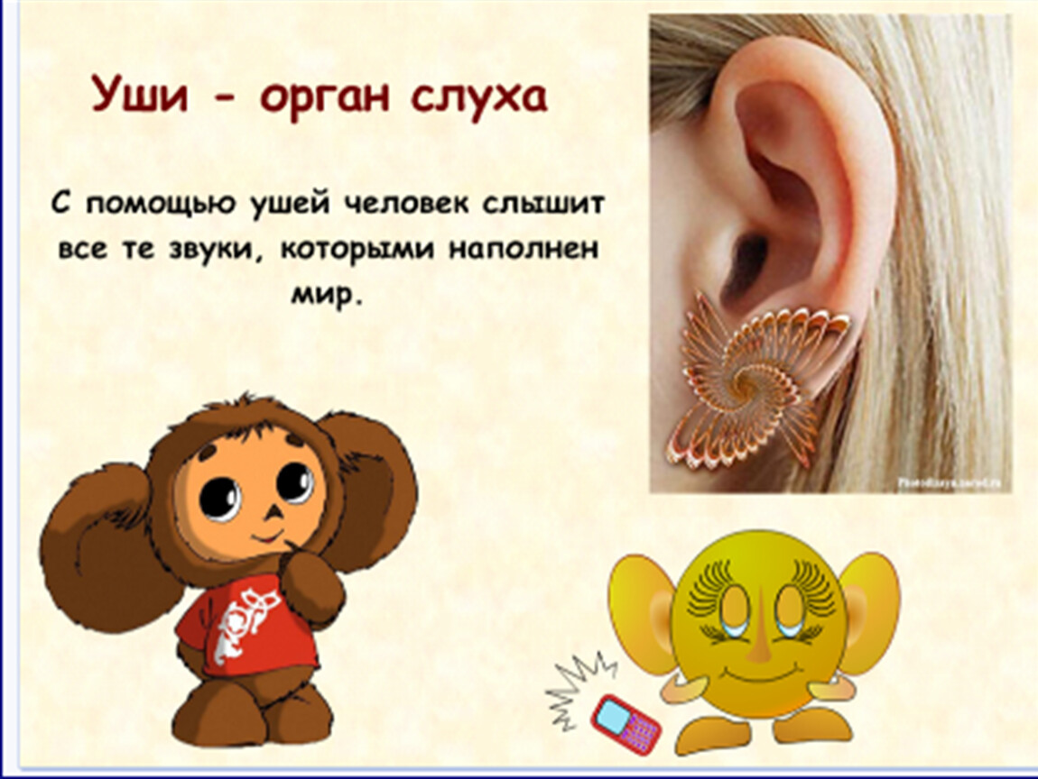 Картинка слышать для детей. Стишок про уши для детей. Орган слуха для дошкольников. Уши орган слуха задания для детей.