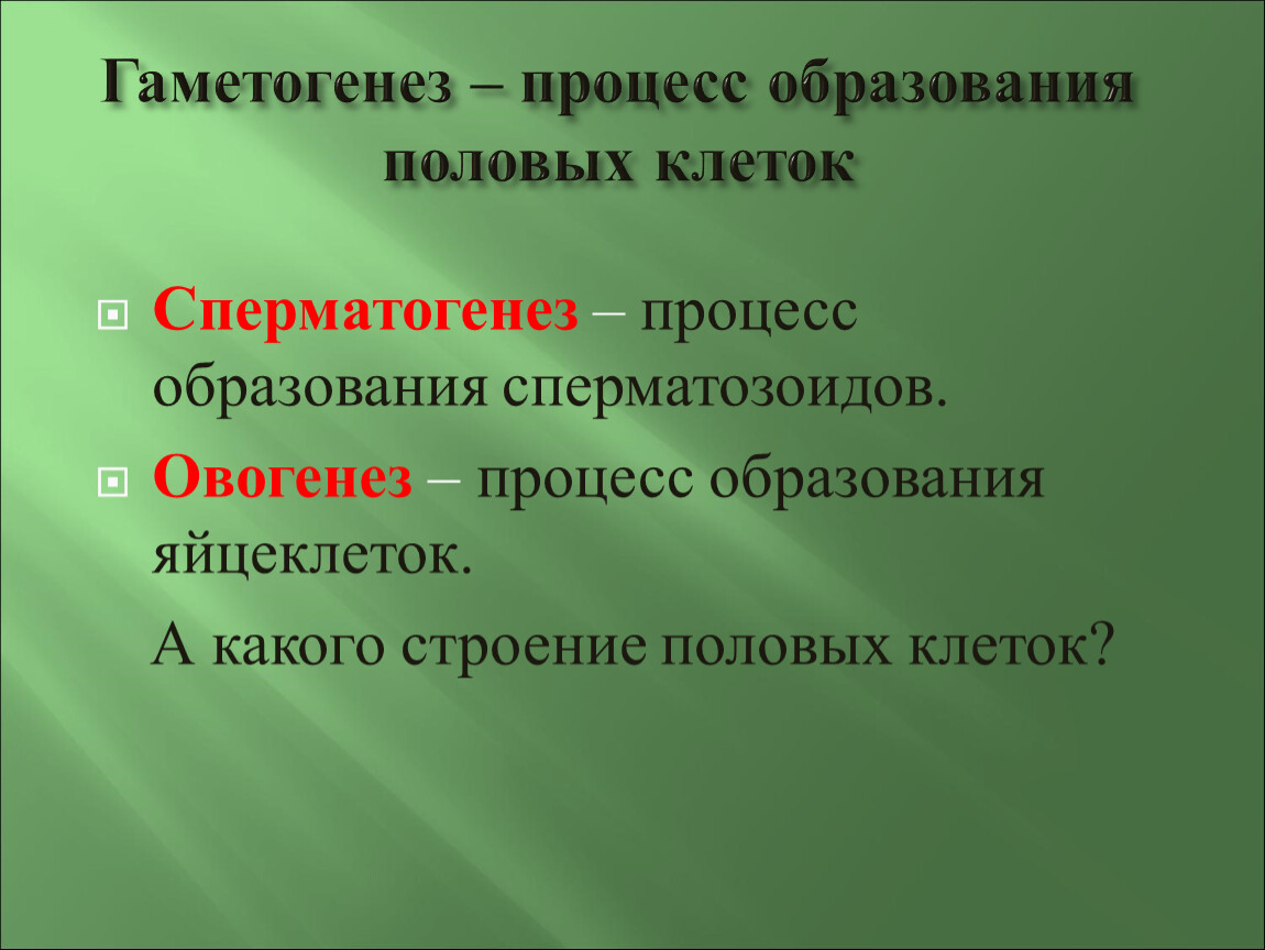 Презентация образование половых клеток