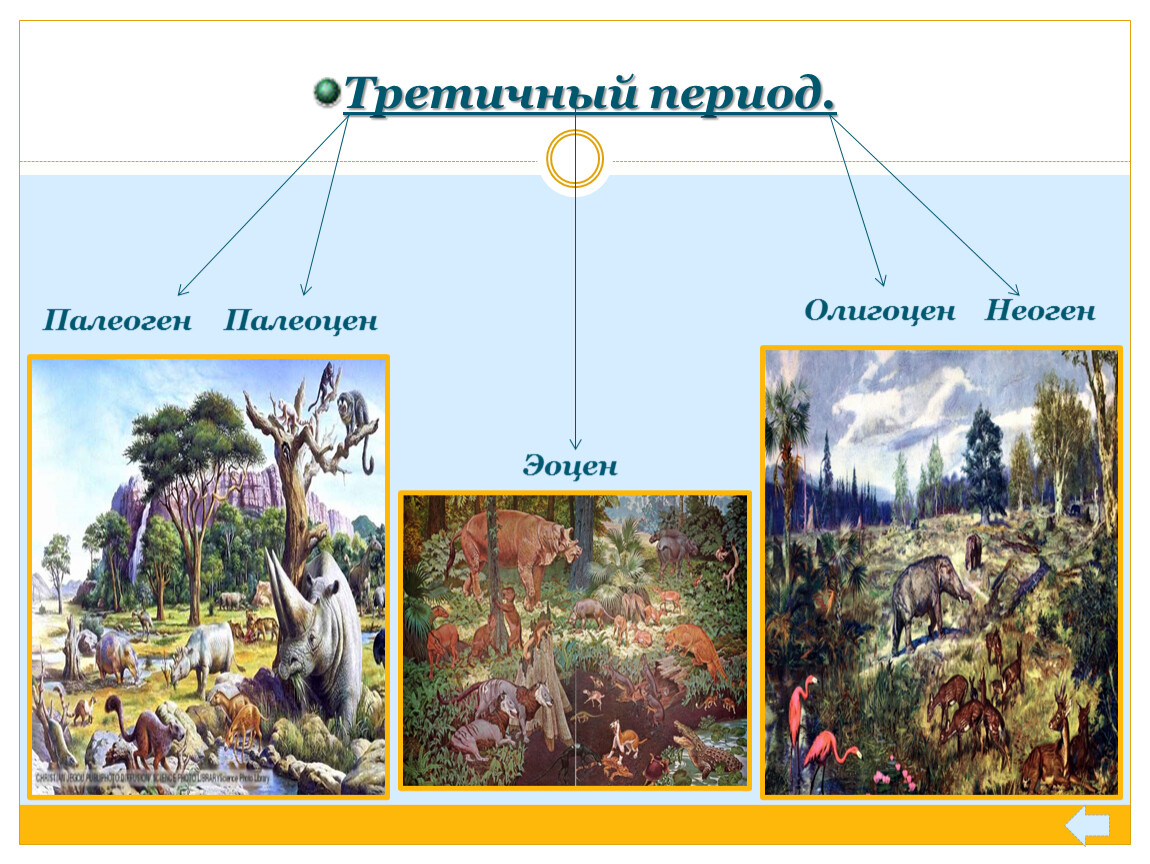 Природные периоды. Третичный период. Третичный период основные этапы эволюции. Третичный период палеоген и неоген. Третичный палеоген основные этапы эволюции.