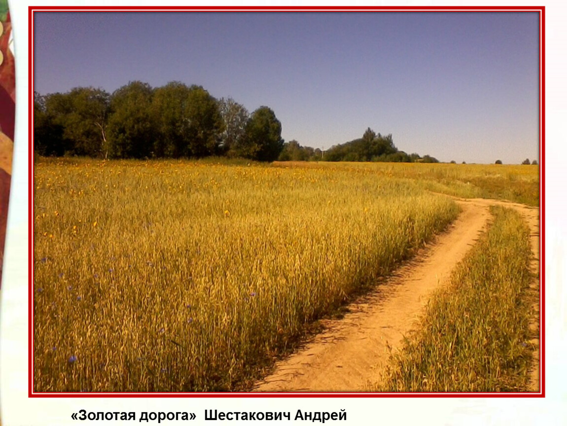 Стихотворение фета рожь. Зреет рожь над жаркой Нивой Фет. Фет рожь. Фет зреет рожь над жаркой Нивой рисунок. Hj;m ATN.