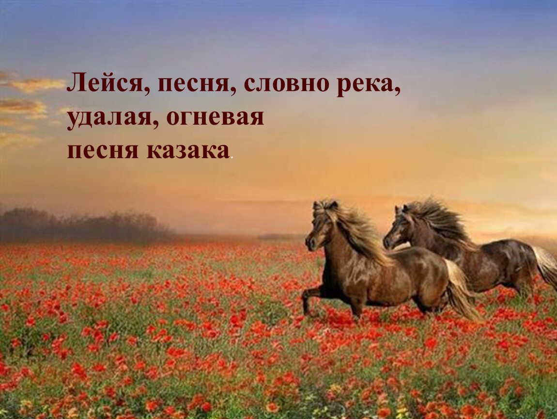 Песня степи степи исполнение. Лошадь в поле. Лошади в казахских степях. Табун лошадей. Кони в степи.