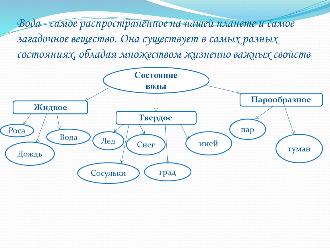 Проектная работа на тему: 