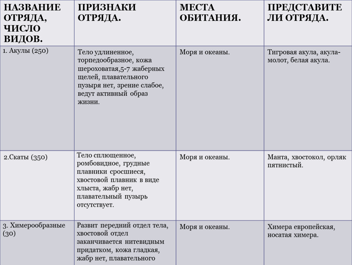 Класс признаки и представители рыбы таблица. Признаки отряда акулы. Отряд акулы характерные признаки. Отряд акулы представители таблица. Акулы признаки отряда биология 7.