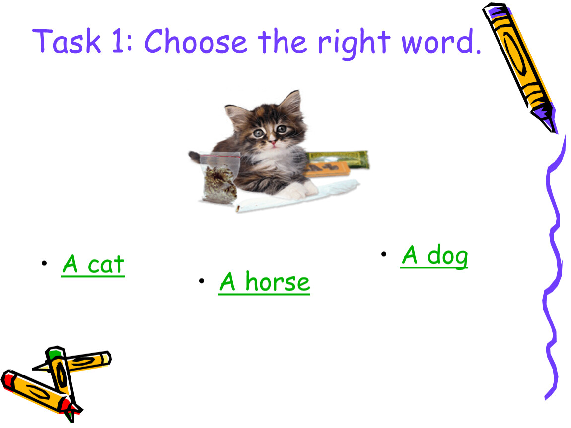 Choose the right word. Урок английского языка в 4 классе Дикие животные забавное в школе. Cat tasks. Lt isn't a Horse its a Dog.