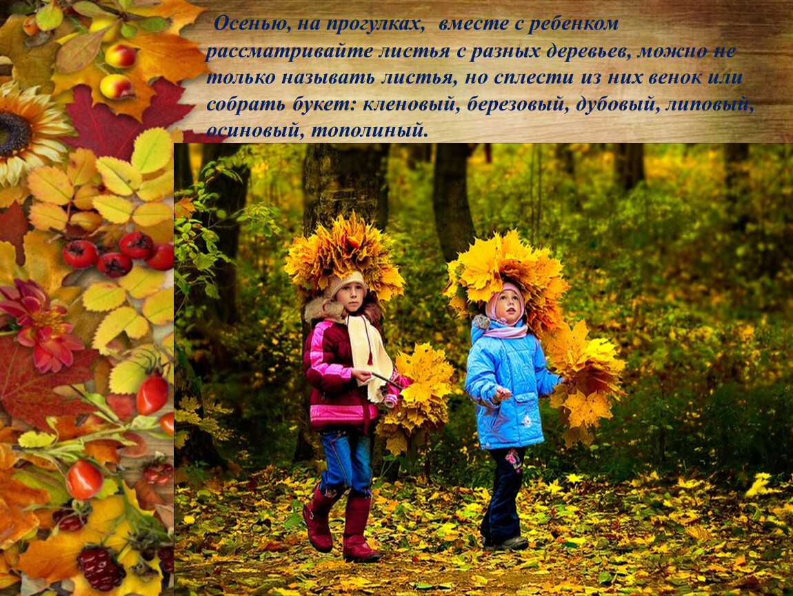 Вот и пришла разноцветная осень. Осенниеррогулки с детьми. Осень для детей. Осенняя прогулка. Осенние прогулки с детьми.