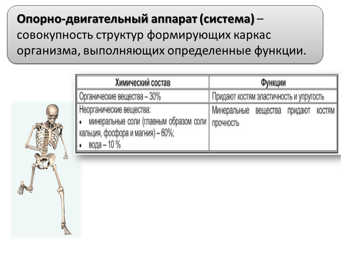 Упругость кости придают соли железа. Что придают костям соли кальция. Какие соли придают костям прочность. Что придаёт костям упругость. Накопление солей кальция в костях это функция.