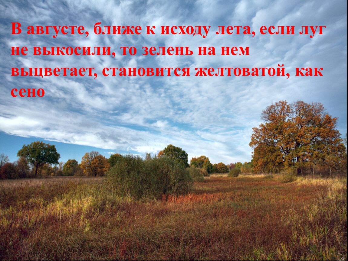 На исходе лета. Август лето на исходе. Лето на исходе стихи. Август на исходе стихи. Вот и август! Лето на исходе.