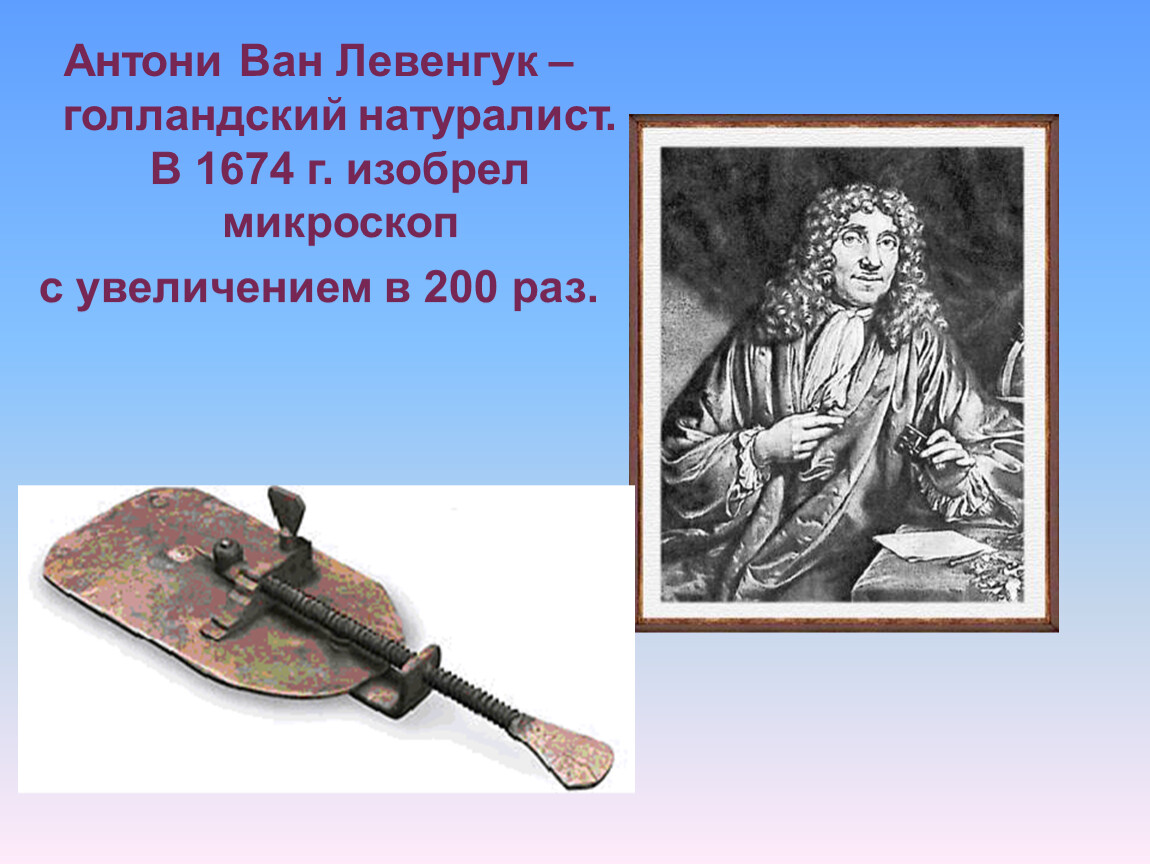 Антони ван левенгук. Голландский натуралист Антони Ван Левенгук. Антони Ван Левенгук ударение. 1676 Году голландский натуралист Антони Ван Левенгук. 1685 Антони Ван Левенгук открыл.