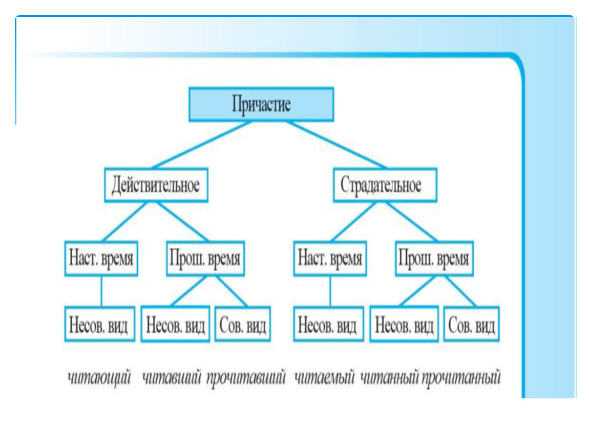 Виды действительных причастий. Причастия делятся на. Причастие делится на две группы. На какие 2 группы делятся причастия. Причастия делятся на типы.