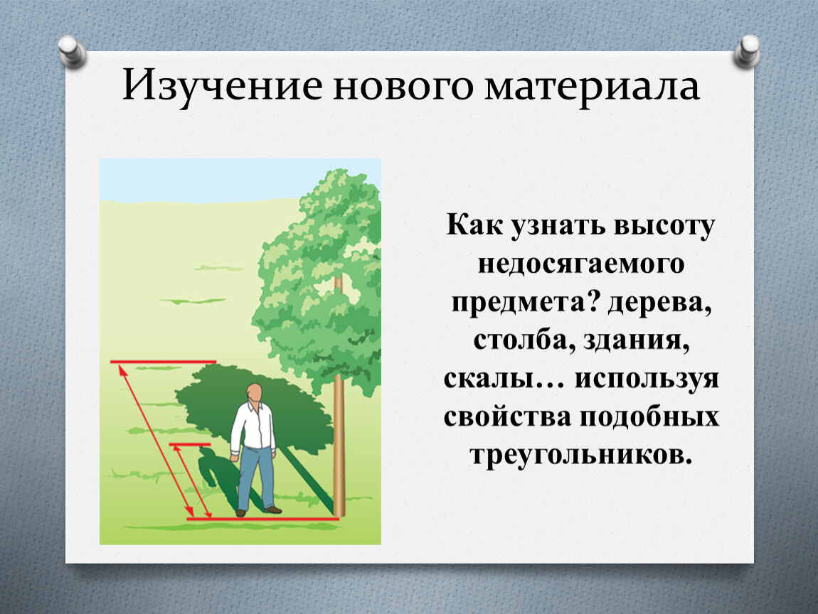 Используя свойства. Как узнать высоту недосягаемого предмета дерева столба здания. Как определить высоту дерева в информатике. Определить высоту дерева Граф. Как проверить высоту.