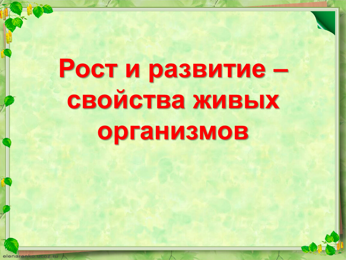 Рост и развитие организмов 6 класс презентация