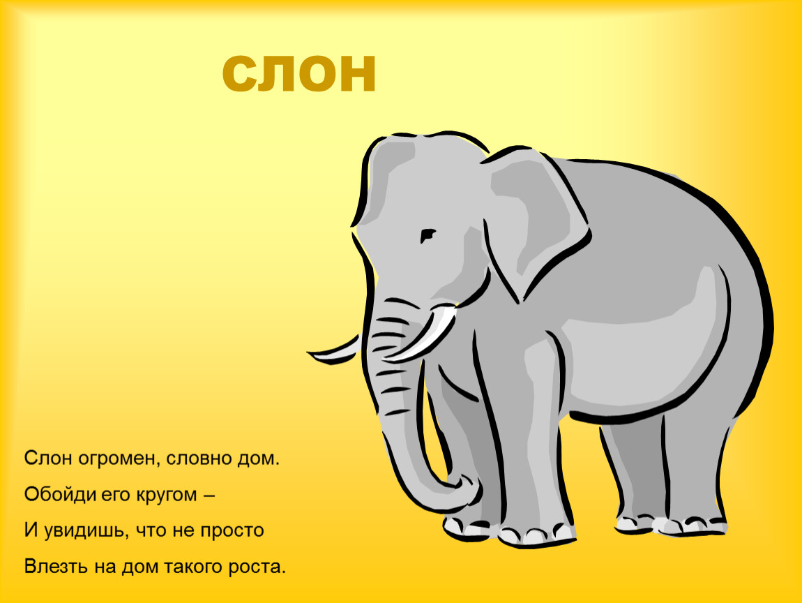 Слон загадка. Стих про слона. Стих про слоника. Стишки про слона. Стихотворения про с ловна.