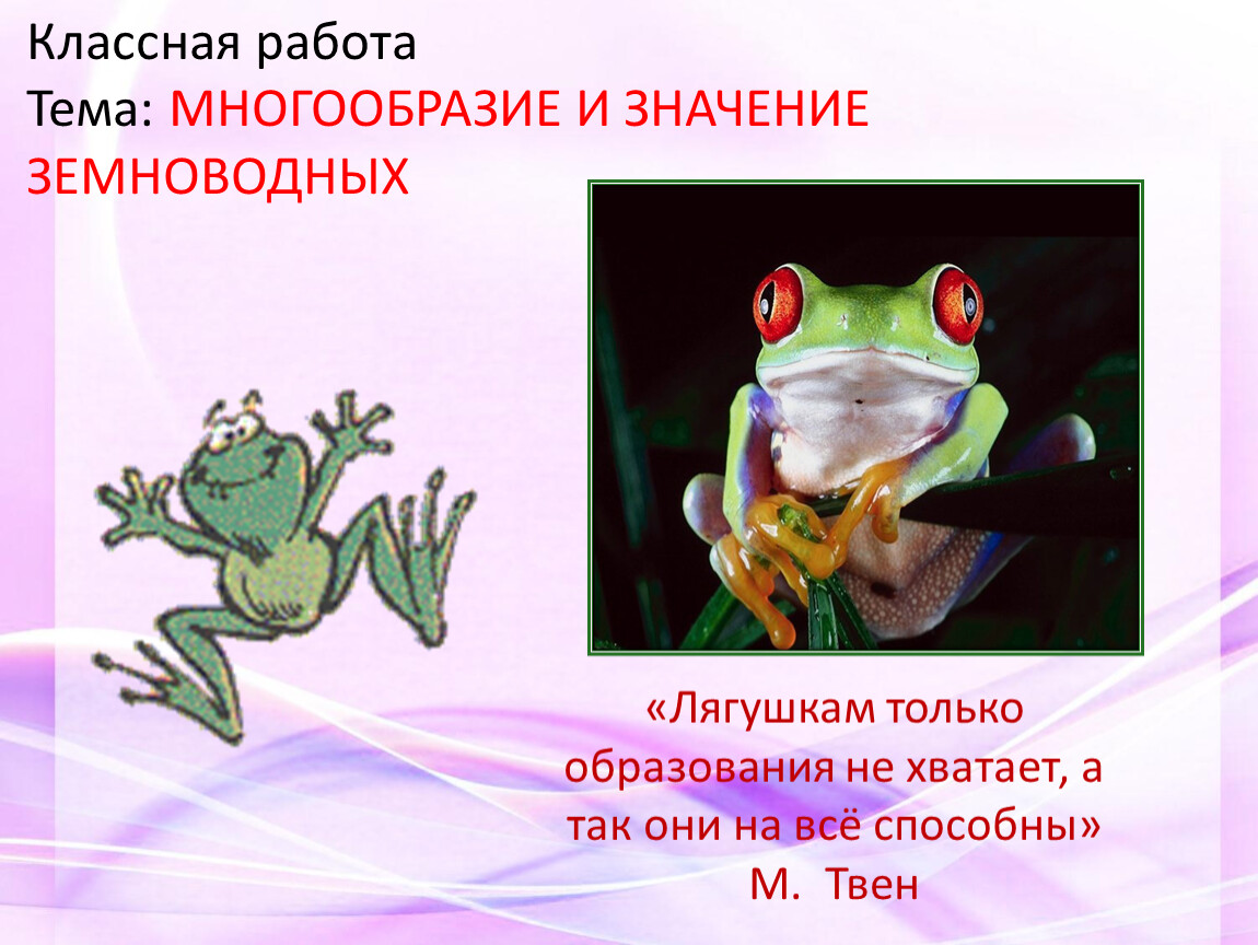 Пять земноводных