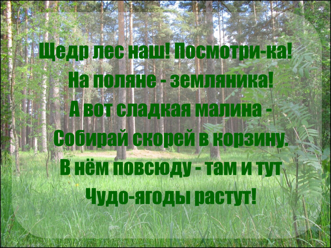 В лес по ягоды пойдем 1 класс пнш презентация