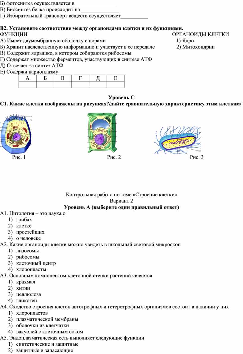 Контрольная работа по теме 