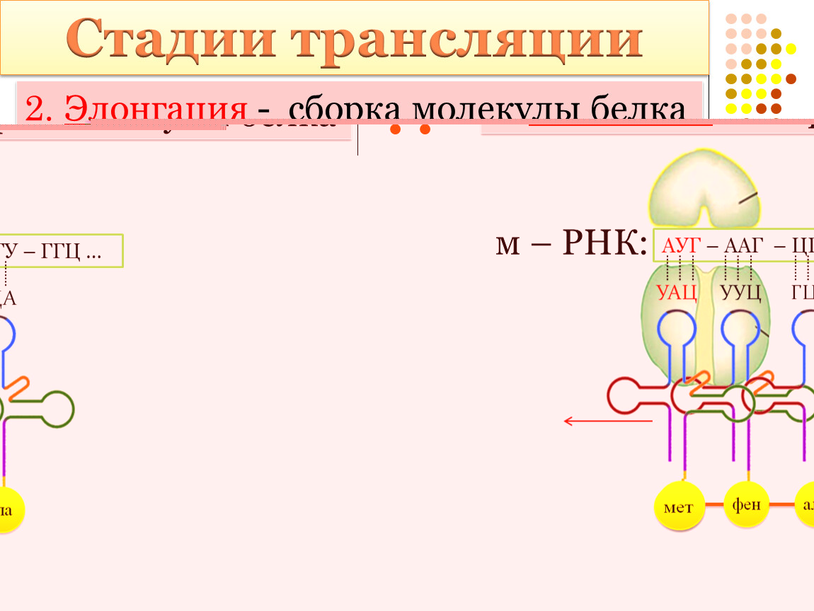 Nsm ws200ac схема