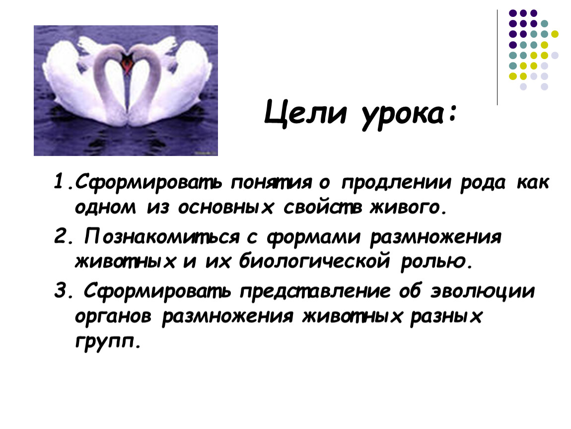 Род органы. Продление рода органы размножения. Продление рода.органы размножения биология 7 класс. Органы размножения, продления рода презентация. Продление рода животных.