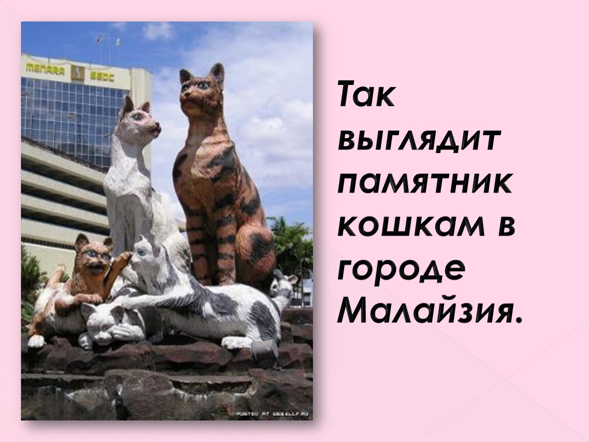 Памятники кошкам и собакам презентация