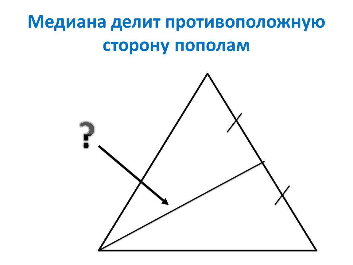 Любая биссектриса треугольника делит его пополам. Медиана делит угол пополам. Мидиана делеи стороноу попалам. Медиана делит сторону. Медиана треугольника делит.