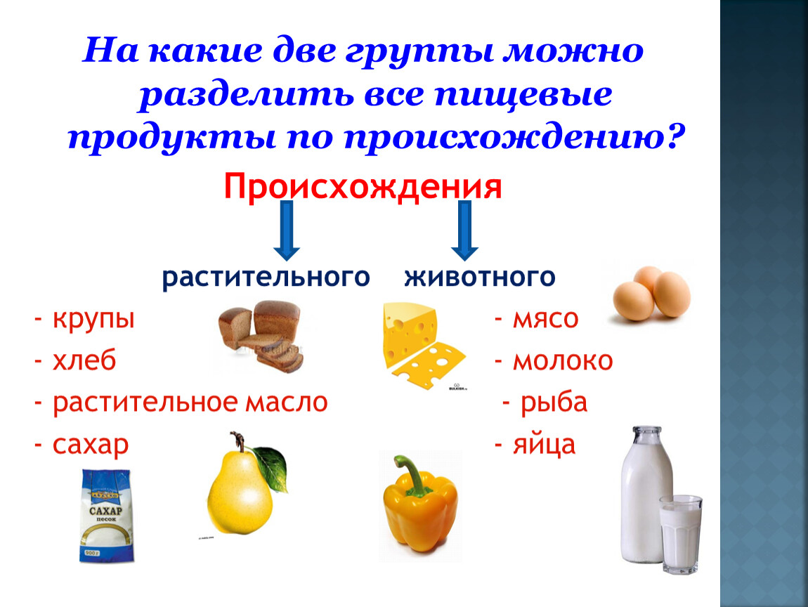 Можно гр. На какие группы можно разделить все продукты питания. На какие группы можно разделить все питательные вещества. На какие две группы делятся все продовольственные товары.