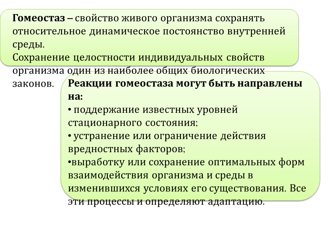 Динамическое постоянство внутренней среды организма