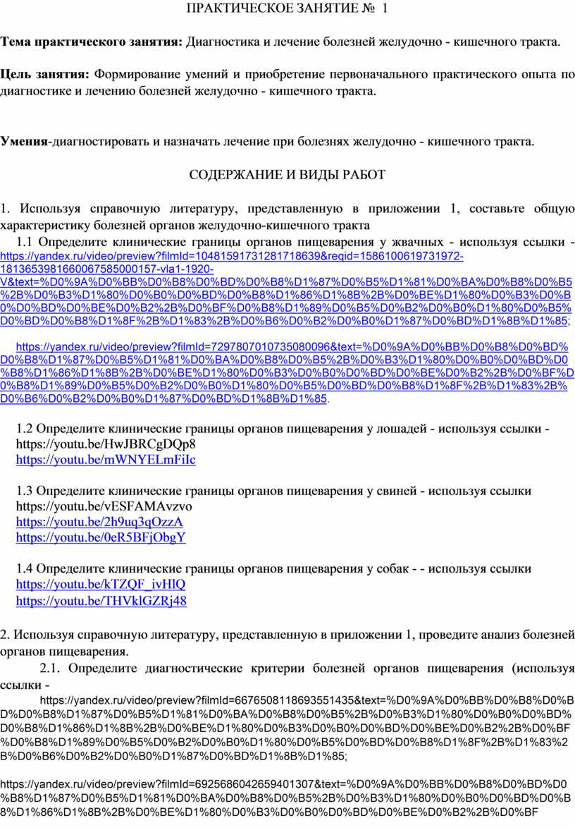 ПРАКТИЧЕСКОЕ ЗАНЯТИЕ № 1