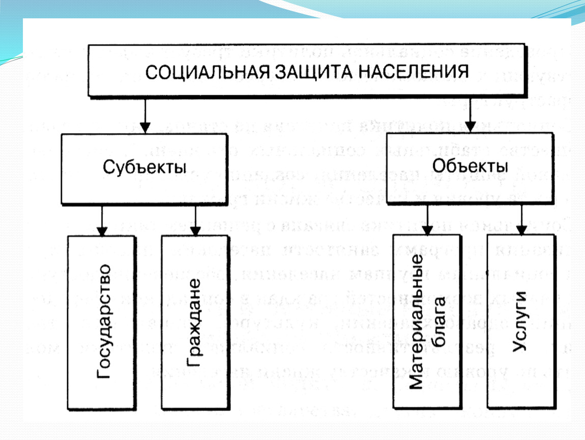 Презентация по обществу 9 кл социальные права