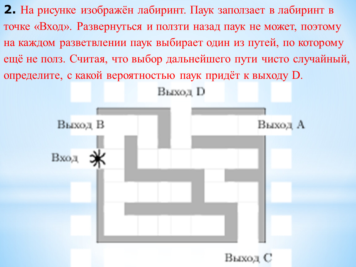 Рисунке изображен лабиринт паук заползает в лабиринт в точке вход