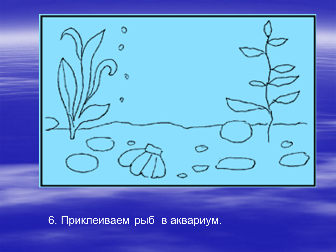 Проект аквариум 2 класс