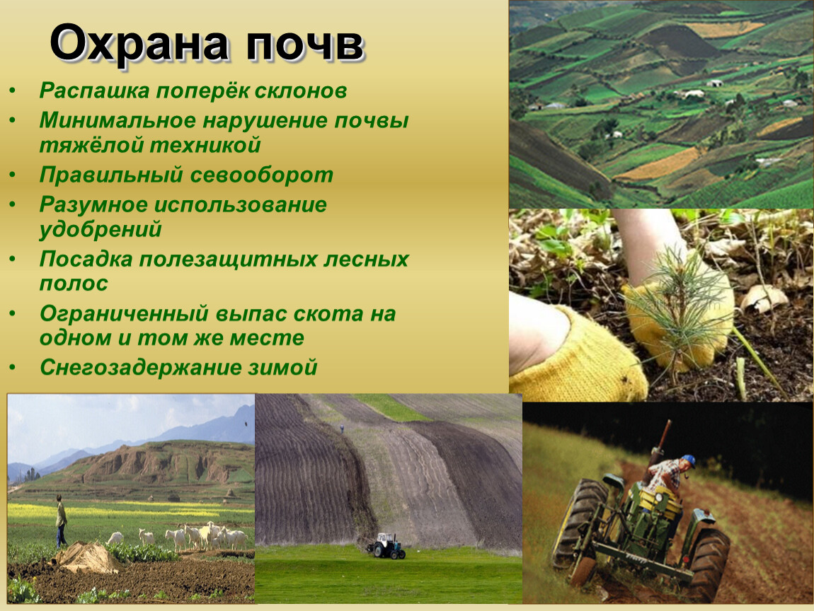 Подумайте почему урожай на полях защищенных. Охрана почвы. Защита почвы. Защита почвы от разрушения. Способы защиты почвы.