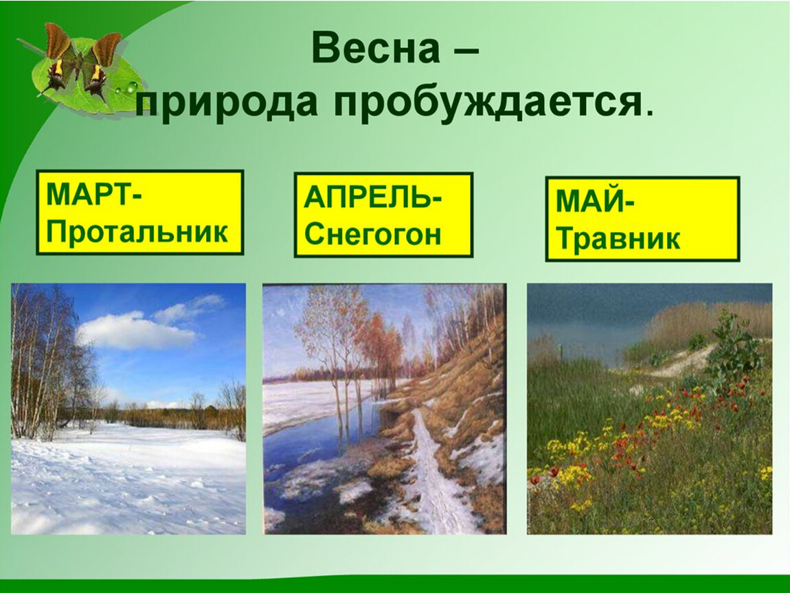 Примеры весенних явлений живой природы 2 класс. Сезонные изменения в природе. Весенние месяцы.