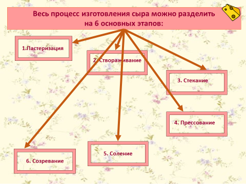 Проект чудесные превращения или что такое сыр