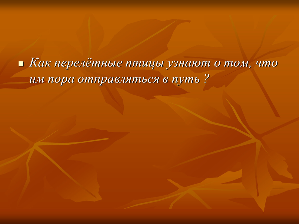 Презентация инструментальный концерт 2 класс