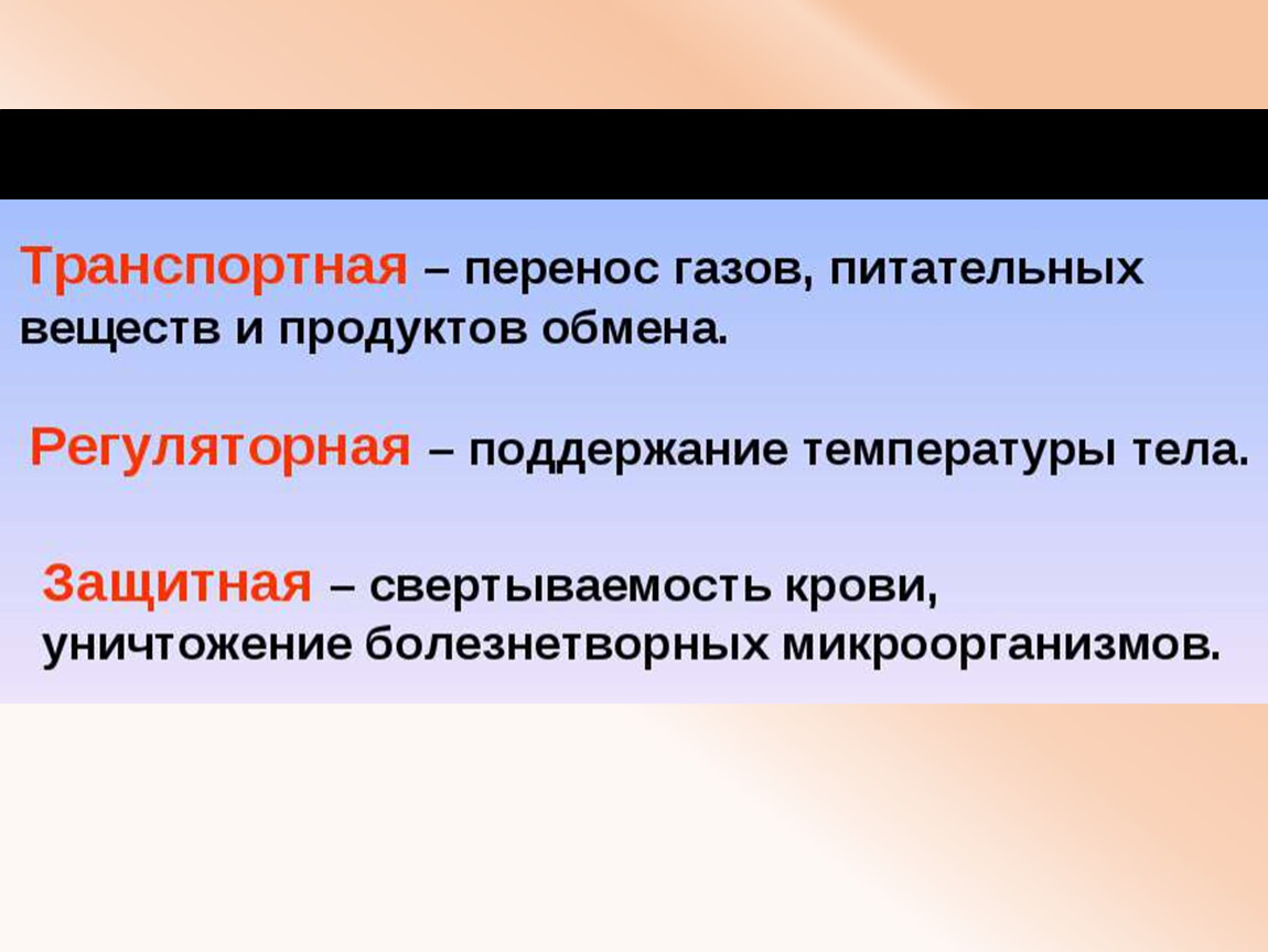 Какого значение сердца в транспорте веществ у животных.