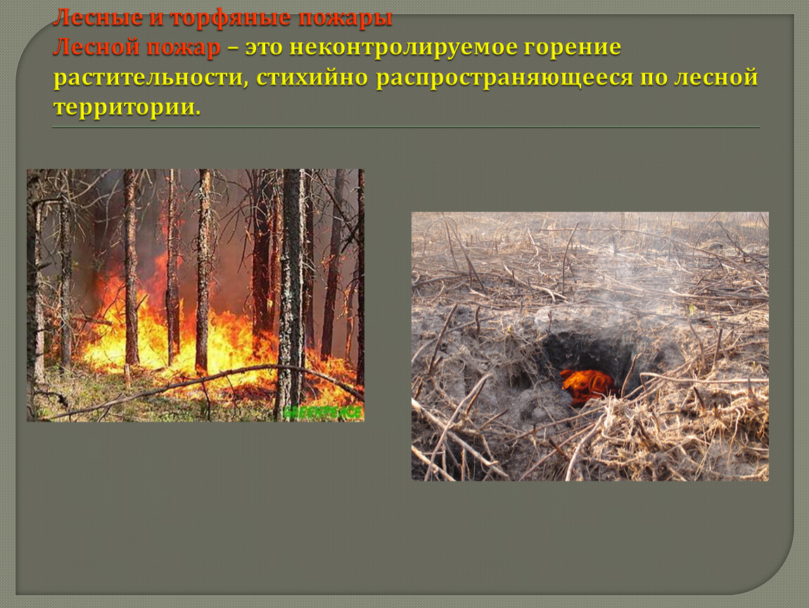Лесной пожар относится к биологически опасным явлениям. Лесные торфяные и подземные пожары относятся к опасным явлениям. Торфяной пожар это ОБЖ. Лесной пожар это неконтролируемое горение растительности. Торфяной пожар распространяется в сторону.