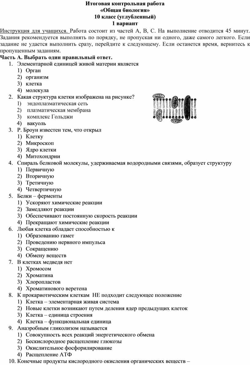 Промежуточная итоговая аттестация по биологии, 10 класс углубленный уровень