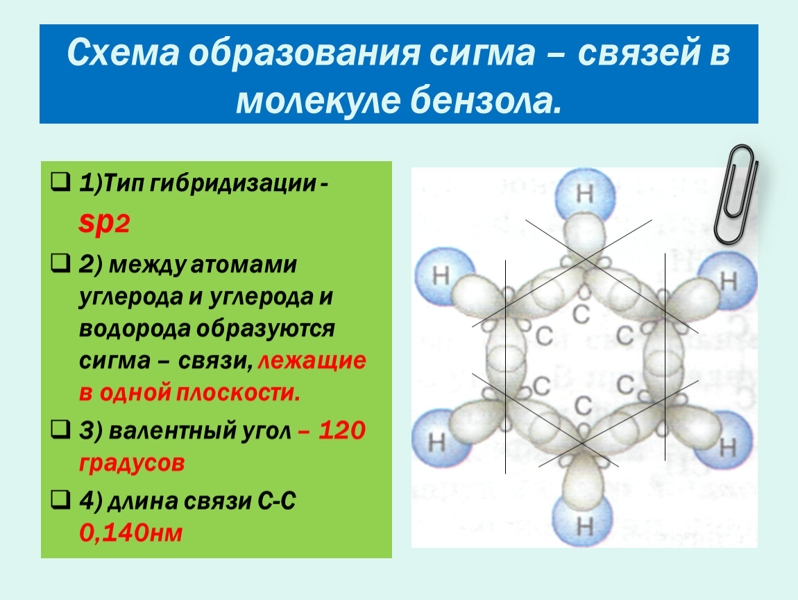 Тип химических связей между атомами углерода. Схема образования связей в молекуле бензола. Схема образования Сигма связей в молекуле. Схема образования Сигма связей в молекуле бензола. Схема Сигма связей в бензоле.