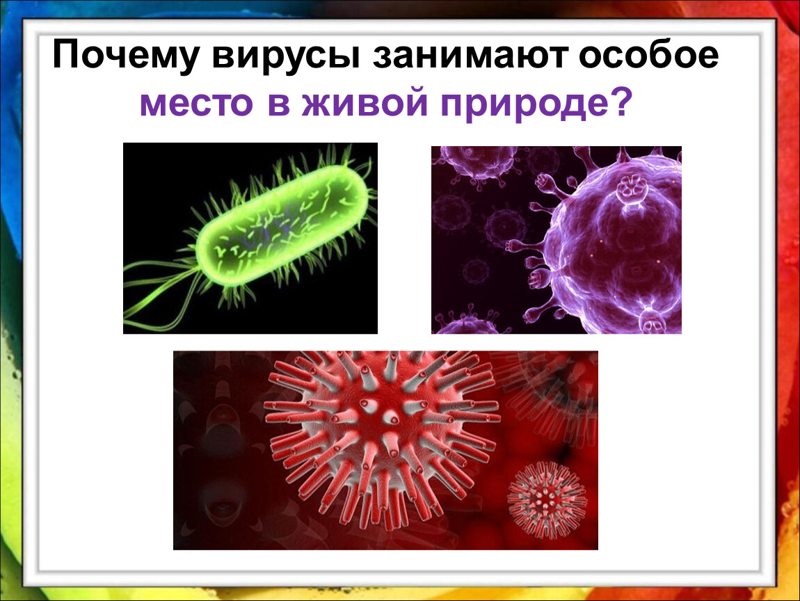 Вирусы относятся к живым организмам. Причины вирусов. Потому вирус длится. Почему вирус не живой и живой. Почему вирусы лишни.