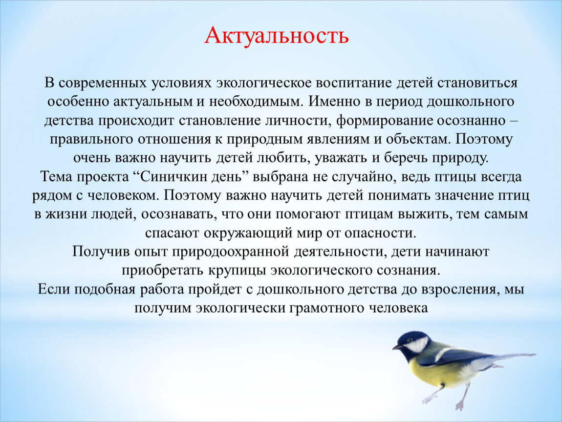 Синичкин день в детском саду в подготовительной